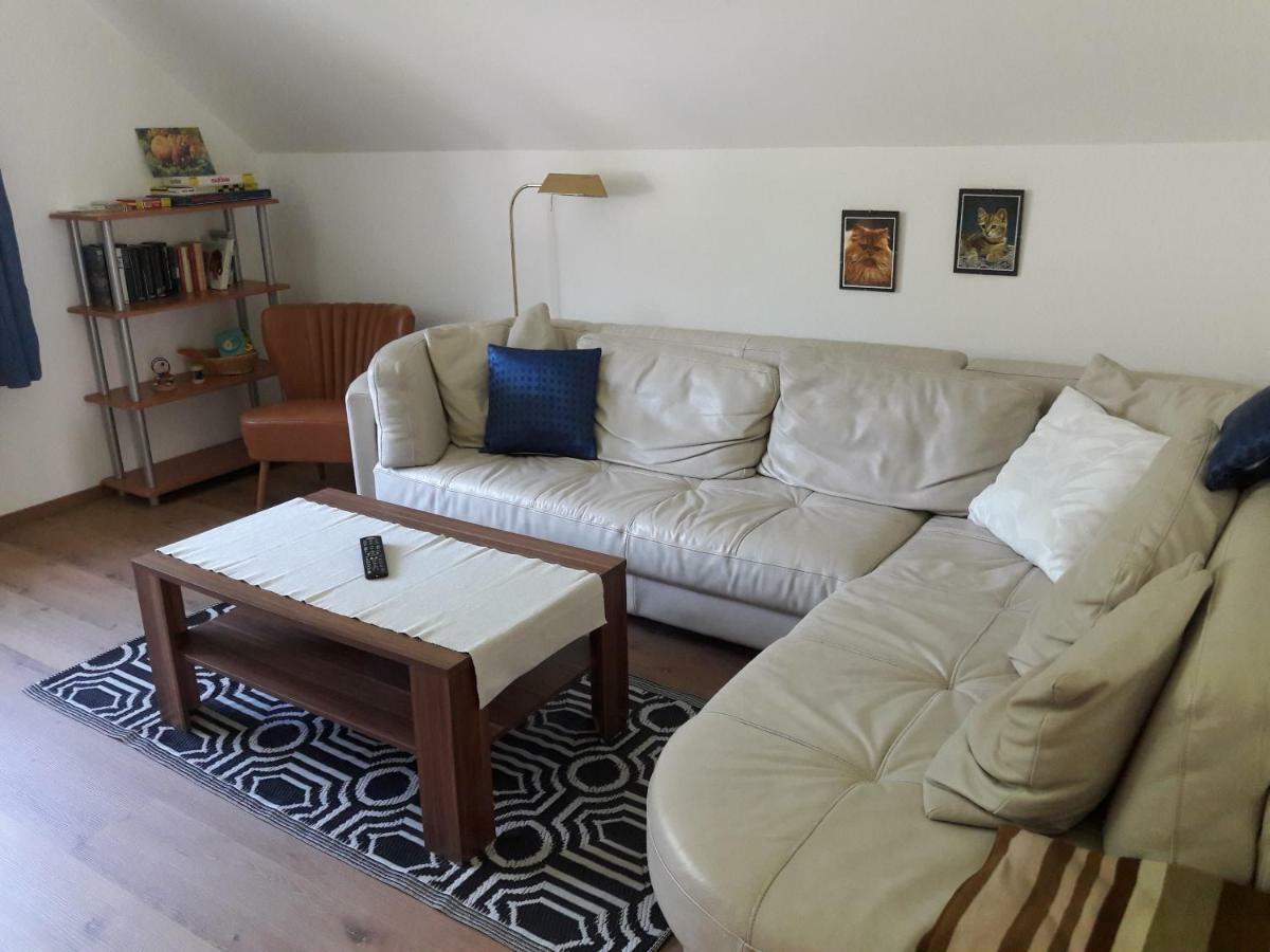 Apartment Sandra Obertraun Luaran gambar